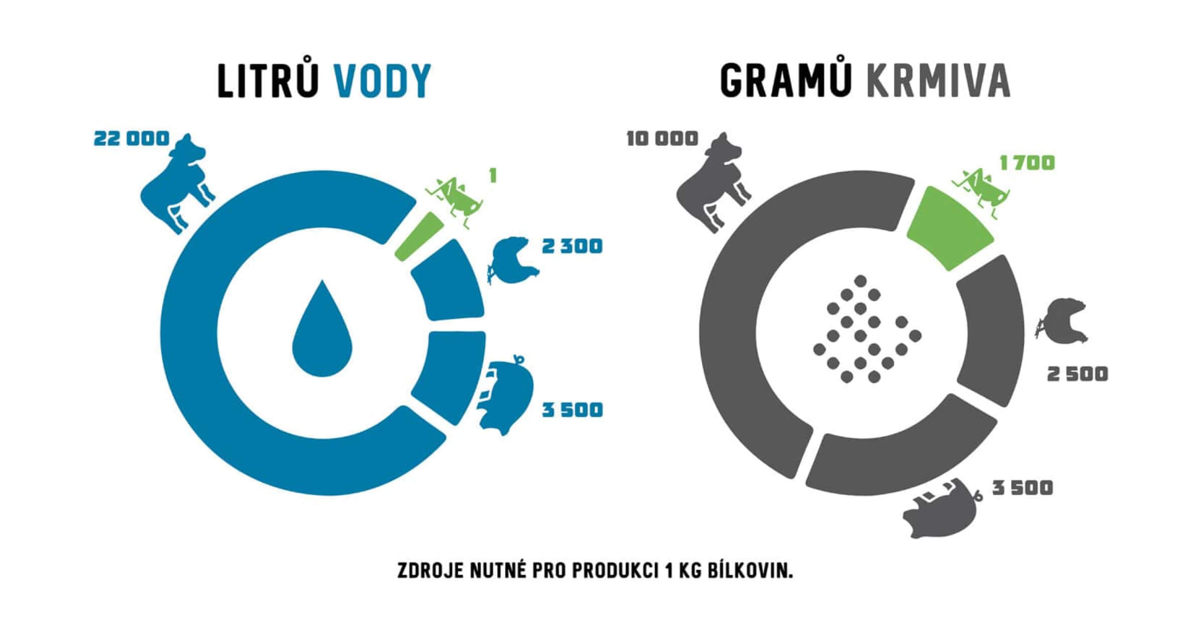 Infografika 2